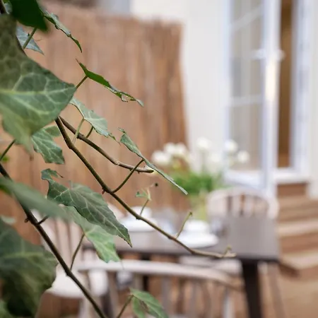 Hotel Cloud 5 Blloku Tirana